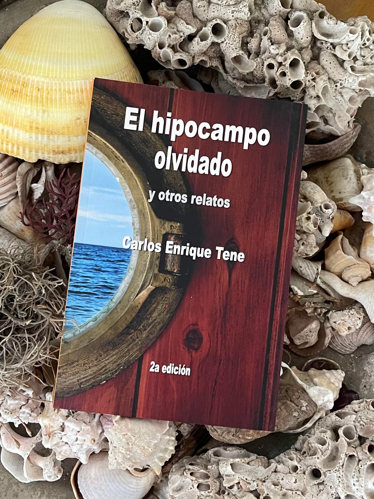 El hipocampo olvidado y otros relatos